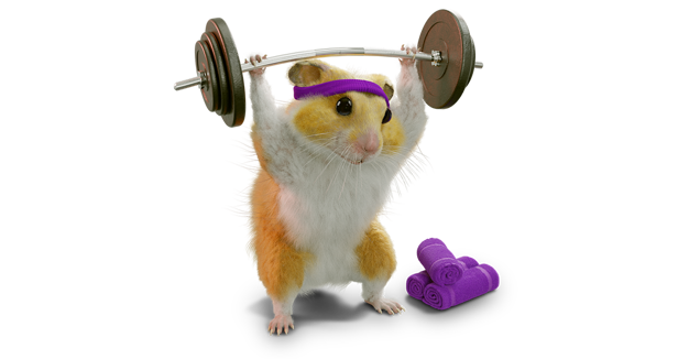 Get your money working as hard as a hamster with our cashback offer